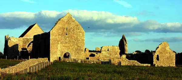 Knockmoy Abbey – ruine cistercienne royale