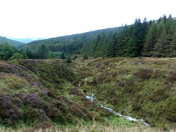 Aghavannagh – am Fuß des Lugnaquilla