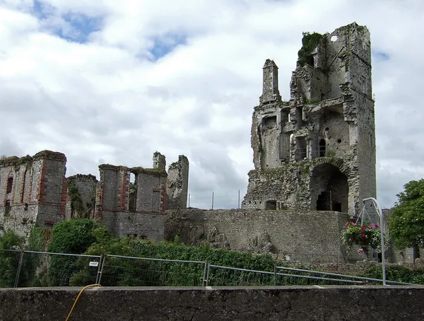 Askeaton Castle - geograph.org.uk - 497981