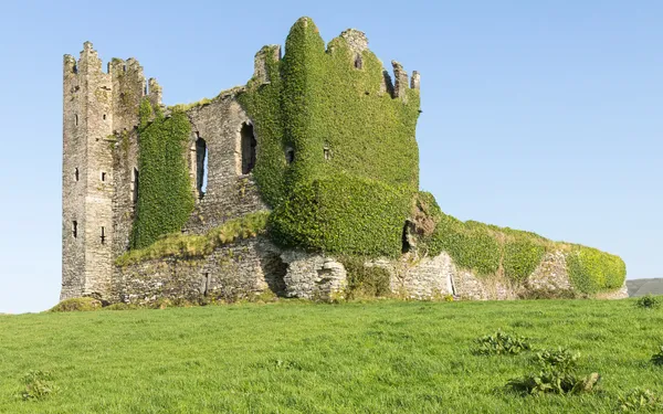 Ballycarbery Castle and its stone forts