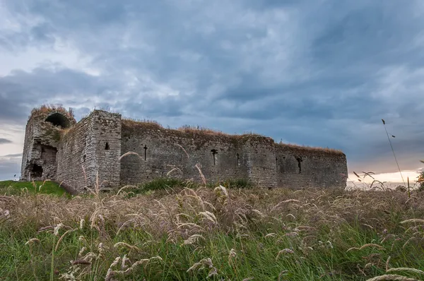 Murs en granit sans toit d'un château en ruine s'élevant derrière des herbes plumeuses sous un ciel nuageux.