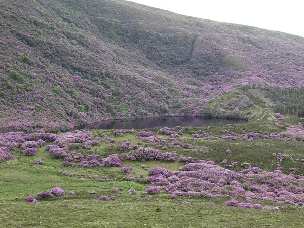 Bay Lough – una strega e un lago senza fondo
