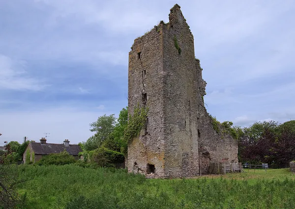 A tall ruined stone tower house in a grassy field, with a cottage and trees to the left.