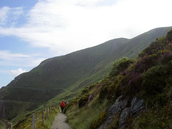 Walkers on a narrow fenced path below a steep green hillside with purple heather.