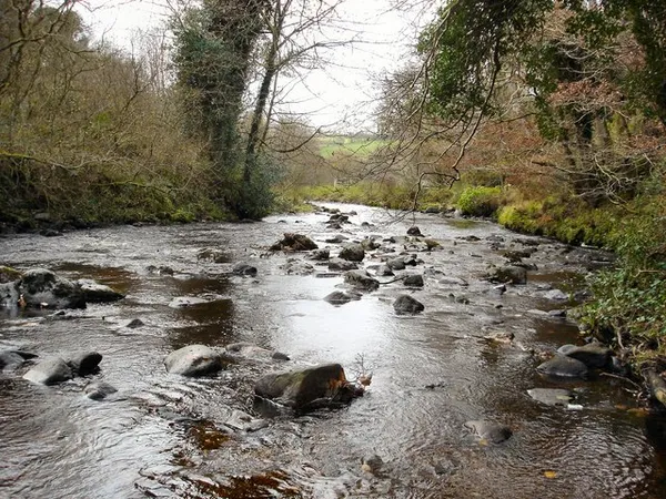 Une rivière peu profonde et rocheuse coulant entre des rives boisées.