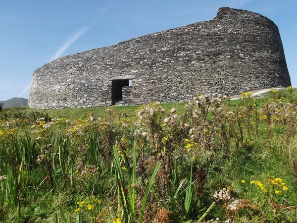 Eine massive geschwungene Trockensteinmauer mit rechteckigem Eingang, dahinter Wildblumen unter blauem Himmel.