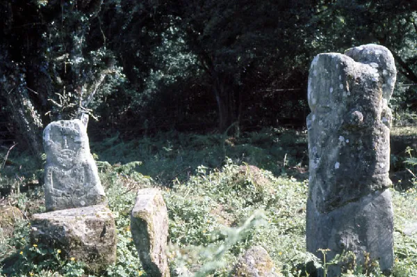 The Boa figures, Caldragh. - geograph.org.uk - 69244