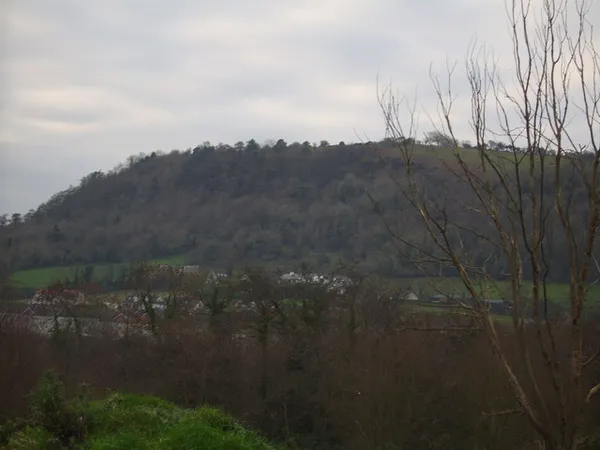 A wooded hill rising above houses in a valley, seen through bare branches under a grey sky.