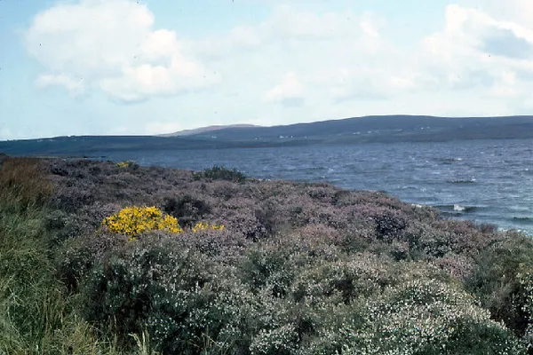 Carrowmore Lake – acque salmonicole a Erris