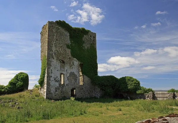 Un'alta casa-torre in pietra senza tetto, parzialmente ricoperta di edera, eretta nell'erba alta sotto un cielo azzurro.