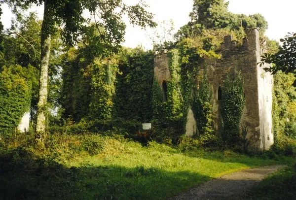 Ivy-covered stone ruins among tall trees, with a grassy clearing and a path in the foreground.