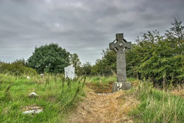 A weathered stone high cross standing in long grass among trees under a grey sky.
