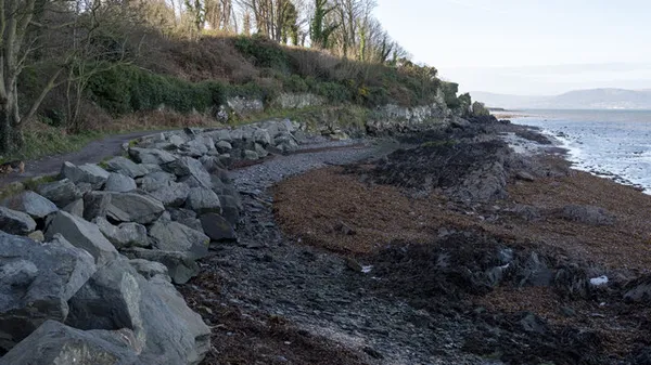 A narrow path edged with large grey rocks along a seaweed-covered shore, with a wooded bank and open water beyond.