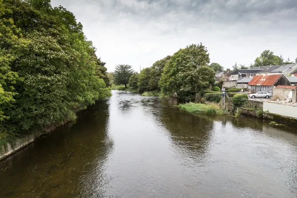 River Maigue, Croom - geograph.org.uk - 5149475
