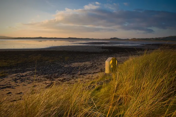 Culleenamore Strand – Robben und Sandbänke