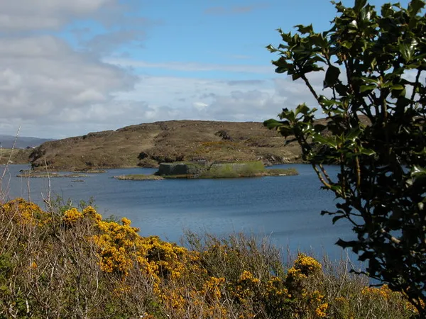 Un lago blu con una piccola isola bassa al centro, una collina marrone dietro e ginestra gialla davanti.