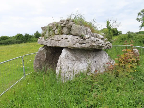 Une tombe en coin en pierre avec une grande dalle de couverture herbeuse sur des dalles verticales dans un champ vert.