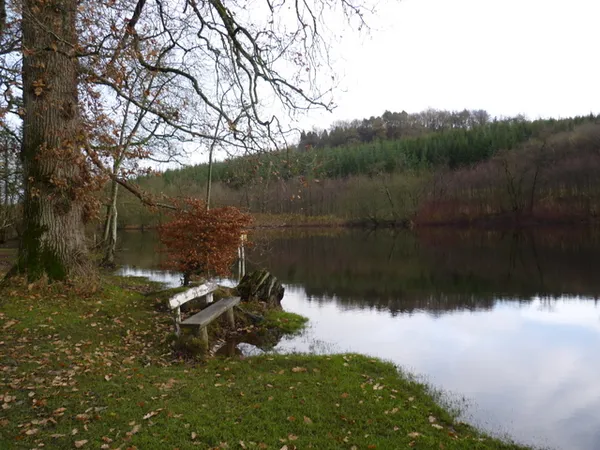 Eine Holzbank auf einem grasbewachsenen Ufer neben einem ruhigen Fluss, mit einem großen Baum und bewaldetem Hang gegenüber dem Wasser.
