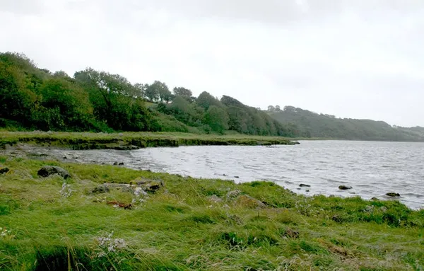 Drumcliff Bay – Gänse, Lachs, Benbulben