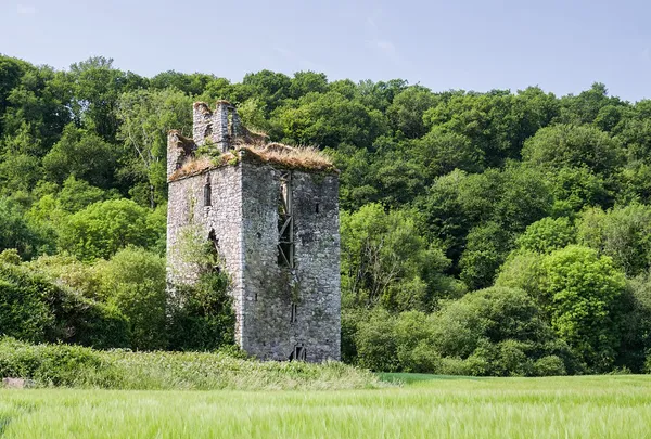 Dysart Castle – la rovina di George Berkeley