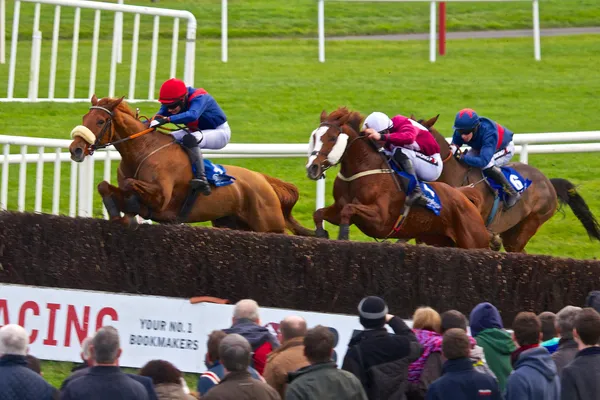 Three jockeys on chestnut horses jump a hurdle while a crowd of spectators watches from the rail.