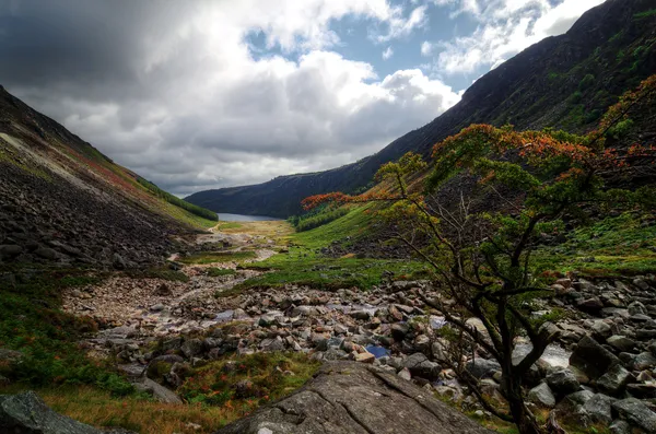 A rocky stream bed and a lone tree between steep mountain slopes, with a distant lake under broken cloud.