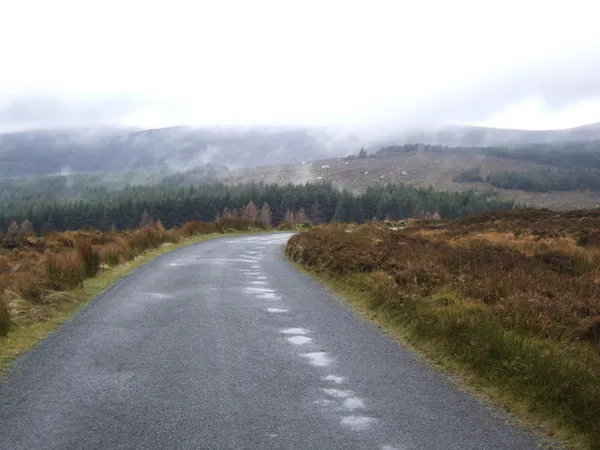 A wet, empty road curving through brown heather towards conifer forest and hills under low cloud.