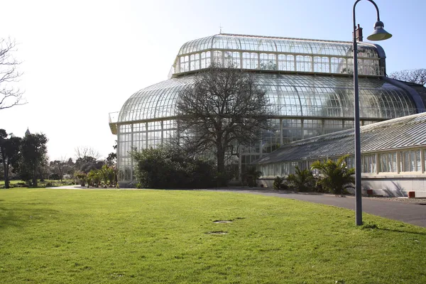 Great Palm House