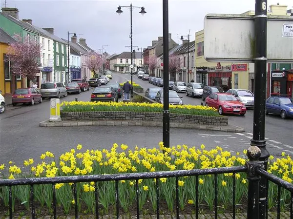 A town street lined with coloured shopfronts and parked cars, with yellow daffodils on a railed island in front.