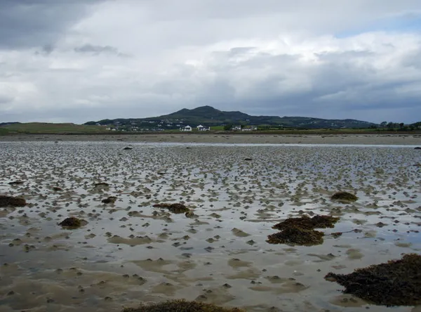Island Roy – isola tidale, gemella di Marte
