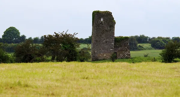 Kilcolman Castle – wo Spenser schrieb