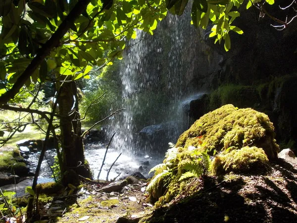 Una cascata scende lungo una parete rocciosa scura accanto a un masso muschioso, incorniciata da foglie verdi.