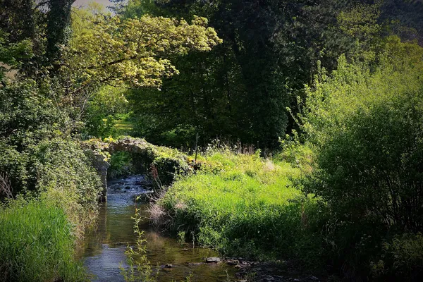 King John's Bridge – arco medievale, Lucan