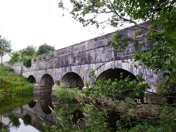 Un lungo acquedotto in pietra con diversi archi su un fiume, incorniciato da alberi sporgenti.