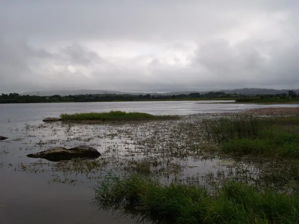 Un lago poco profondo con canneti e una roccia in primo piano e una riva bassa e lontana sotto nuvole grigie.