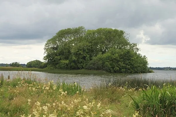 Lough Ennell – Schwimmen und Rekordforellen