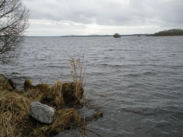 Aufgewühltes graues Seewasser mit einem Felsen und trockenem Schilf am Ufer und einem niedrigen fernen Ufer unter Wolken.