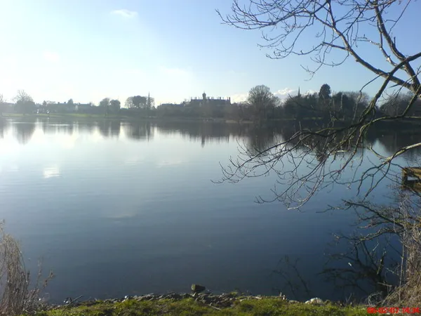 A calm lake reflecting a line of distant trees, framed by bare branches on the right.