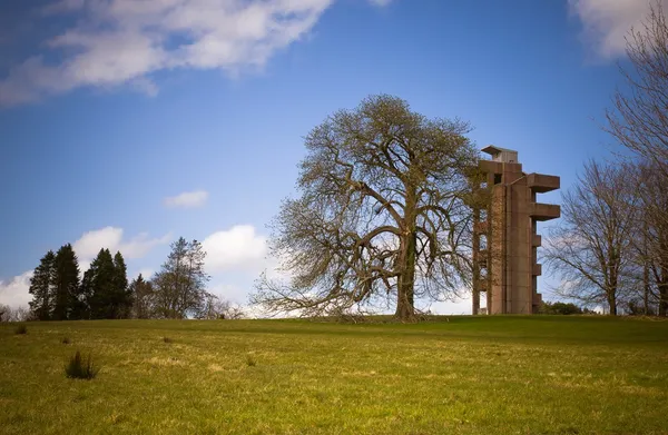 A tall concrete viewing tower beside a broad leafless tree on a grassy rise under a blue sky.