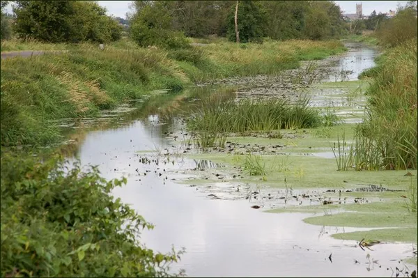 Newry Canal – le premier canal à point de partage d'Irlande