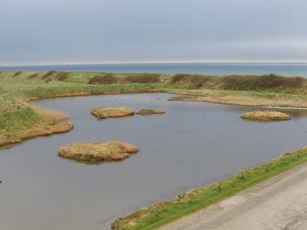 Shallow pools with small grassy islands in flat wetland, with the sea on the horizon.