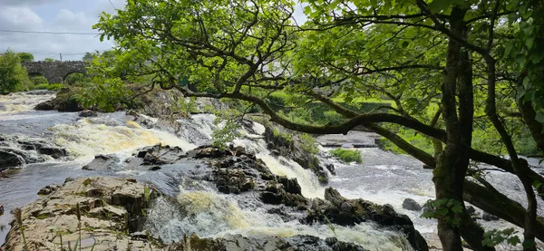 White water running over dark rocks in a river, framed by overhanging tree branches.