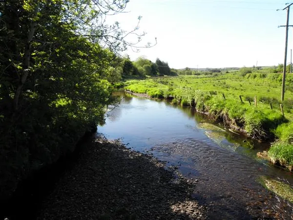 Un fiume calmo che scorre tra una riva di ghiaia e campi verdi, con alberi a sinistra.