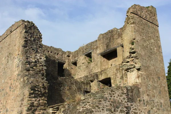 Quoile Castle – ein aufgeschnittenes Tower House