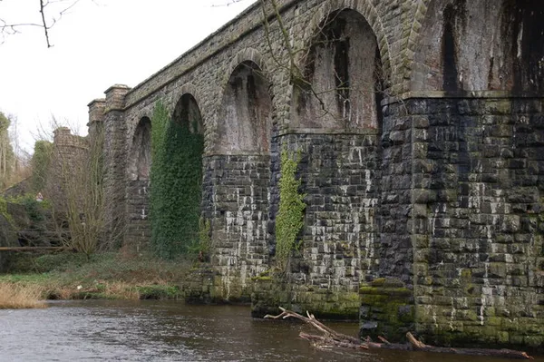 Tall stone arches of a railway viaduct with ivy on the piers, standing over a river.