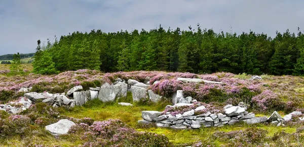 Rathlacken Court Tomb – Mayo néolithique