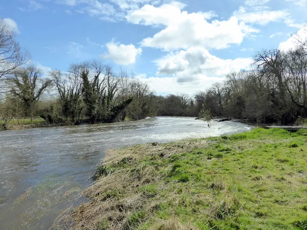 Une large rivière coulant le long d'une rive herbeuse et d'arbres dénudés sous un ciel bleu avec des nuages blancs.