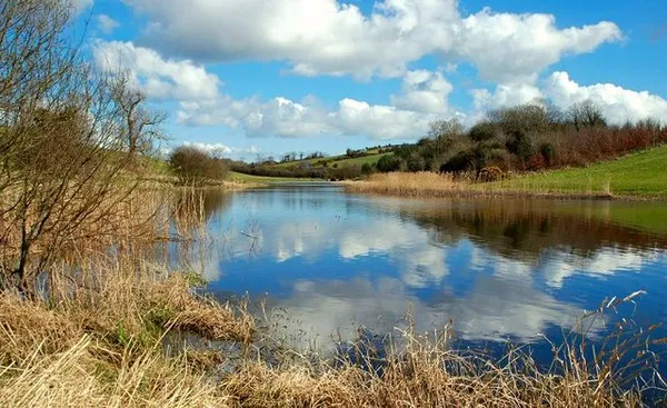 Ein ruhiger Fluss, der einen blauen Himmel und weiße Wolken spiegelt, gesäumt von Schilf und kahlen Bäumen.