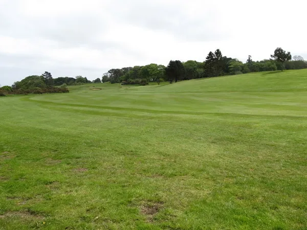 Fairway di golf largo e falciato che scende verso una fila di alberi sotto un cielo pallido.