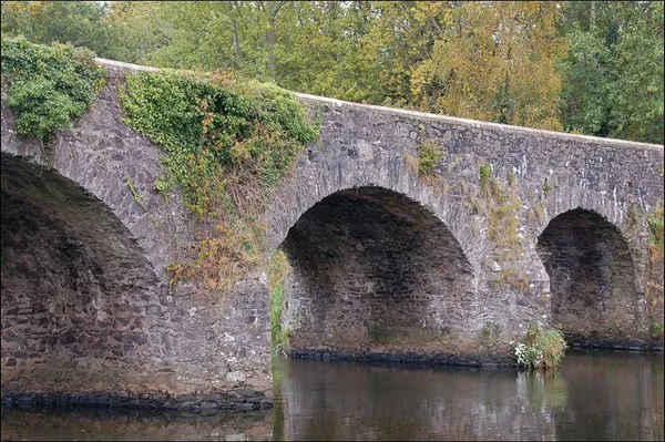 Shaw's Bridge, Belfast (2) - geograph.org.uk - 571239
